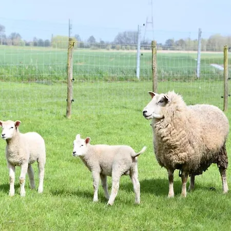 Coastal Comfort By The Sea