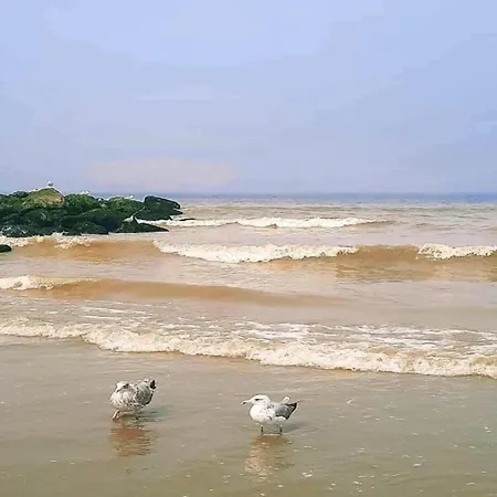 Coastal Comfort By The Sea Appartement *