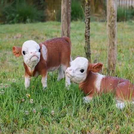 Coastal Comfort By The Sea * Nieuwpoort