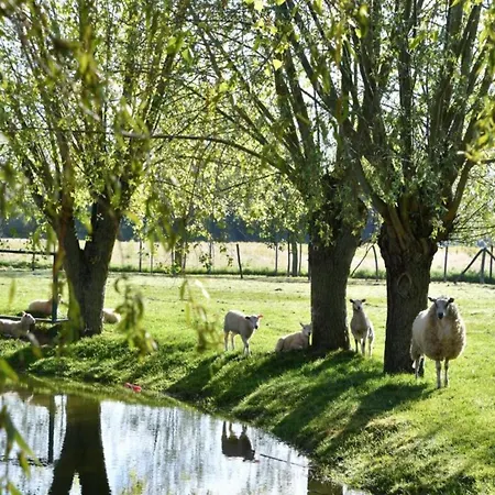 Coastal Comfort By The Sea Apartman *